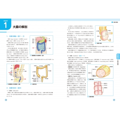 大腸CT検査~実務・症例・基礎知識~: イチから学ぶ! | 東海