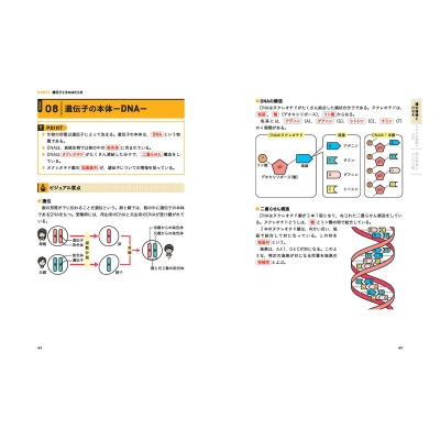 ランク順 高校生物基礎一問一答 改訂版 大学入試 ランク順