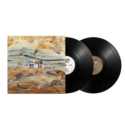 s*p様 Wouter Hamel Hamel アナログレコード Wouter Hamel – Hamel レコード アナログ盤 Org - メルカリ