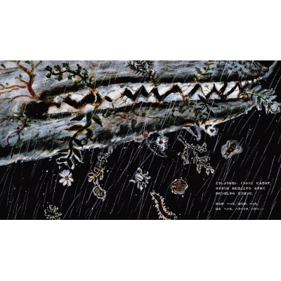 ソコヌケ : Beco+81 | HMV&BOOKS online - 9784756259585