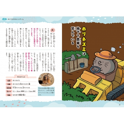私のしあわせ図鑑 たまてばこ篇 大塚健太×柴田ケイココンビによる人気絵本「〇〇ません