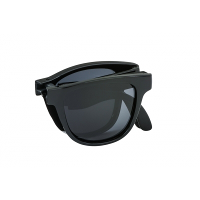 Ray-Ban 偏光グラス ケース付き 楽天市場】Ray-Ban サングラス RB3689 004/48 55 58 62 レイバン