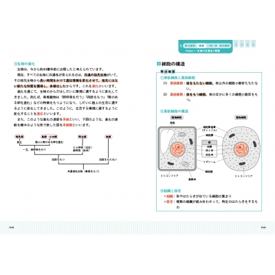 親切な物理 I & II 基礎編　セット　高校生　大学受験　大学入試　絶版 親切な物理 I & II 基礎編 セット 高校生 大学受験 大学入試 絶版