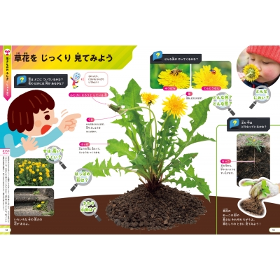 みっちゃん)GET! 角川の集める図鑑シリーズ 10冊セット