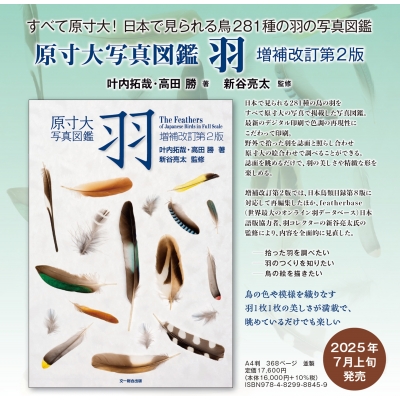 原寸大写真図鑑 羽 増補改訂第2版 : 叶内拓哉 | HMV&BOOKS