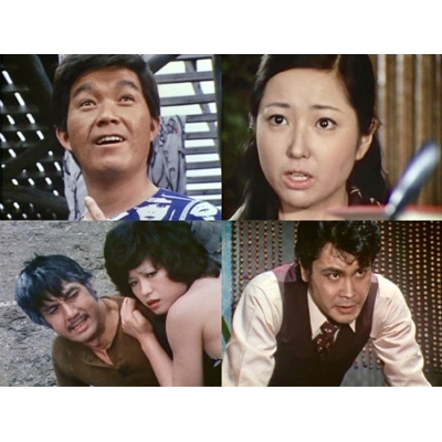 特捜記者 コレクターズDVD 【昭和の名作ライブラリー 第163集