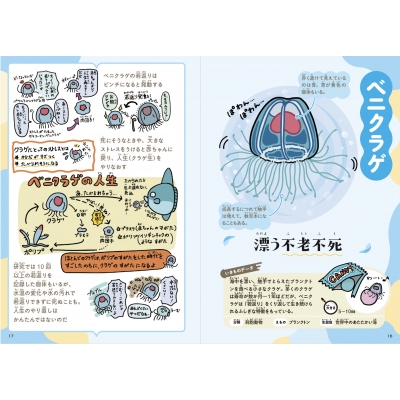 海のちいさないきもの図鑑 : むせきつい屋さん | HMV&BOOKS