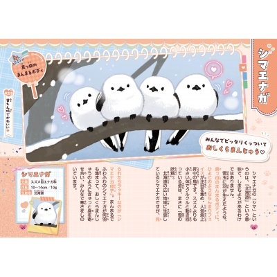 かわいいが見つかる! 推しいきもの図鑑 : 篠原かをり