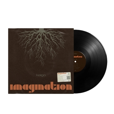 Imagination Shake It レコード LP vinyl アナログ Imagination – Shake It – Vinyl (LP, Album), 1980 [r4538150