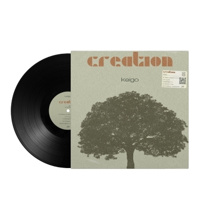 Imagination Shake It レコード LP vinyl アナログ Shake It | Imagination | The Outer Edge