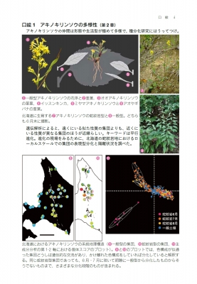 外来生物の生態学 進化する脅威とその対策  /文一総合出版/種生物学会（単行本） 生物学を進化させた男エドワード・O・ウィルソン – 丸善ジュンク