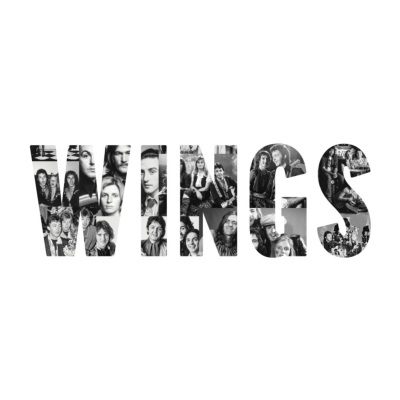 ⭐︎希少品　LOOK アルバムレコード　WINGS ⭐︎希少品 LOOK アルバムレコード WINGS