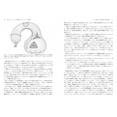 ビジュアル 微分幾何・微分形式 5幕からなる数学劇 : Tristan Needham