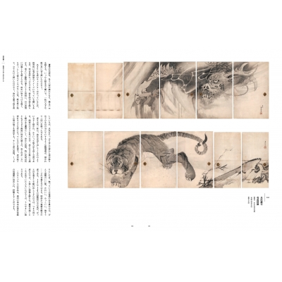 長沢蘆雪 : 金子信久 | HMV&BOOKS online - 9784808713393