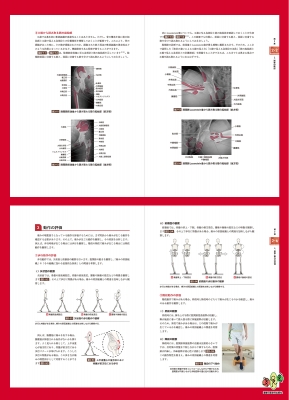 赤羽根良和の臨床 股関節 : 赤羽根良和 | HMV&BOOKS online