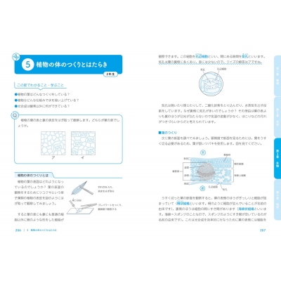 中学校3年分の理科が教えられるほどよくわかる なぜ?を解決! : 竹田