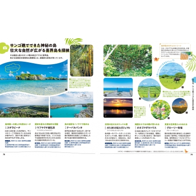 奄美群島 奄美大島・喜界島・徳之島・沖永良部島・与論島 ことりっぷ