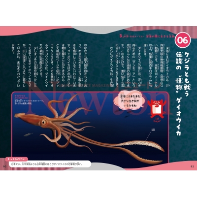 ニュートン科学の学校シリーズ　全9冊セット　動物の学校　海の学校　天気の学校 ニュートン科学の学校シリーズ 動物の学校 | 門脇 正史 |本 | 通販