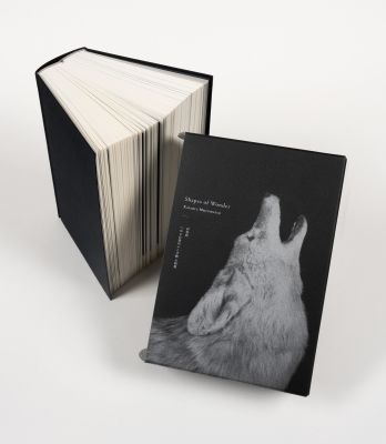 Shapes of Wonder つやま自然のふしぎ館全〓製 : 村松桂 | HMV&BOOKS