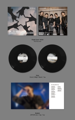 Indies Complete Album (Korean Version)（180グラム重量盤レコード