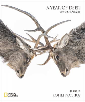 A Year Of Deer エゾシカ、ツノの記憶 : 柳楽航平 | HMV&BOOKS online