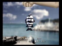 ぼくのなつやすみ2海の冒険編(Playstation 2 The Best) : Game
