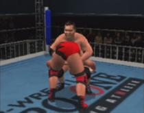 オールスタープロレスリング オールスター プロレスリング 3 : Game Soft (Playstation 2