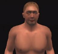オールスター プロレスリング 3 : Game Soft (Playstation 2
