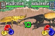 甲虫王者ムシキング -グレイテストチャンピオンへの道- : Game Soft