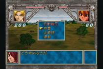 ネバーランド研究史 Neverland Reportage PS2 - メルカリ