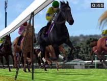 ダービー馬をつくろう!: 5 : Game Soft (Playstation 2