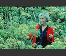 23c ★ay 春にして君を想う [DVD] 春にして君を想う : Halldorsson / Fridriksson | HMV&BOOKS