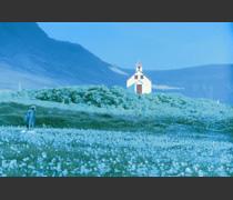 春にして君を想う アイスランド Children Of Nature DVD