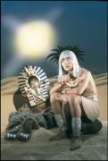 ムー一族: DVD-BOX2 | HMV&BOOKS online - TCED-299 ムー一族: DVD-BOX2 | HMV&BOOKS online - TCED-299