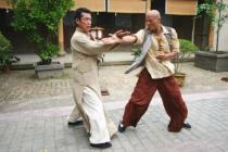 詠春 The Legend of WING CHUN DVDBOX I | HMV&BOOKS online