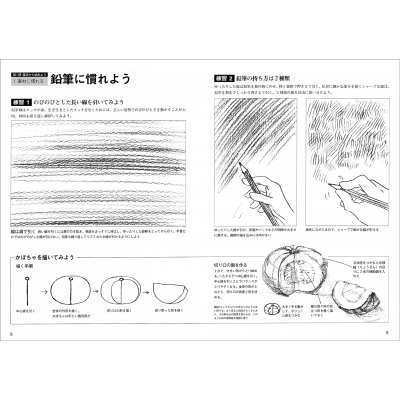 鉛筆画初級レッスン みみずく ビギナーシリーズ 視覚デザイン研究所 Hmv Books Online