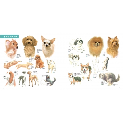 見てすぐ描ける動物スケッチ イヌ38種・ネコ16種・野生動物80種