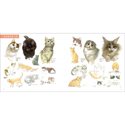 見てすぐ描ける動物スケッチ イヌ38種・ネコ16種・野生動物80種