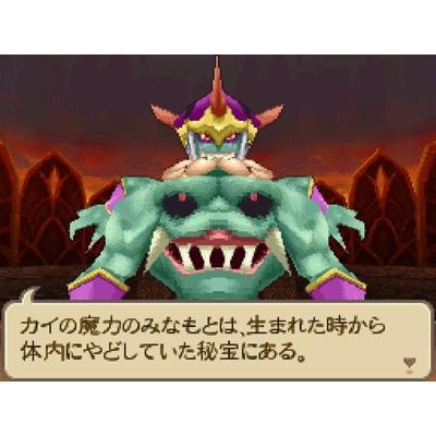 サガ2秘宝伝説 GODDESS OF DESTINY : Game Soft (Nintendo DS