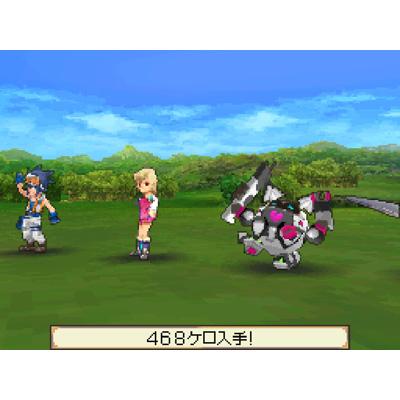 サガ2秘宝伝説 GODDESS OF DESTINY : Game Soft (Nintendo DS