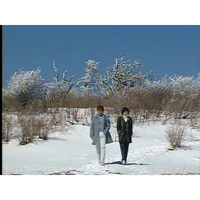 韓国オリジナル・ノーカット完全版 冬のソナタ