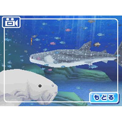 みんなの水族館 : Game Soft (Nintendo DS) | HMV&BOOKS online - NTRPBQUJ