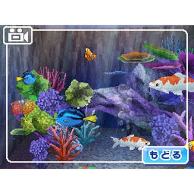 みんなの水族館 : Game Soft (Nintendo DS) | HMV&BOOKS online