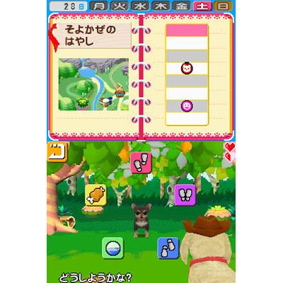 ペットショップ物語DS2 : Game Soft (Nintendo DS) | HMV&BOOKS online