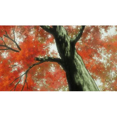 さらい屋五葉 第四巻 | HMV&BOOKS online - ZMBZ-5604