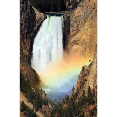 BBC EARTH イエローストーン DVD-BOX (episode 1-3) : 自然