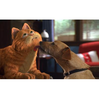 ガーフィールド ザ・ムービー | HMV&BOOKS online - FXXJ-25007