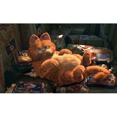 ガーフィールド ザ・ムービー | HMV&BOOKS online - FXXJ-25007