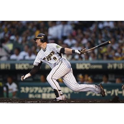 ブラゼルバッティンググローブ‼️