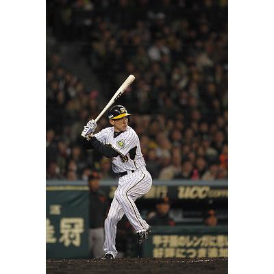 猛虎の要 矢野燿大 背番号39の輝ける軌跡 | HMV&BOOKS online